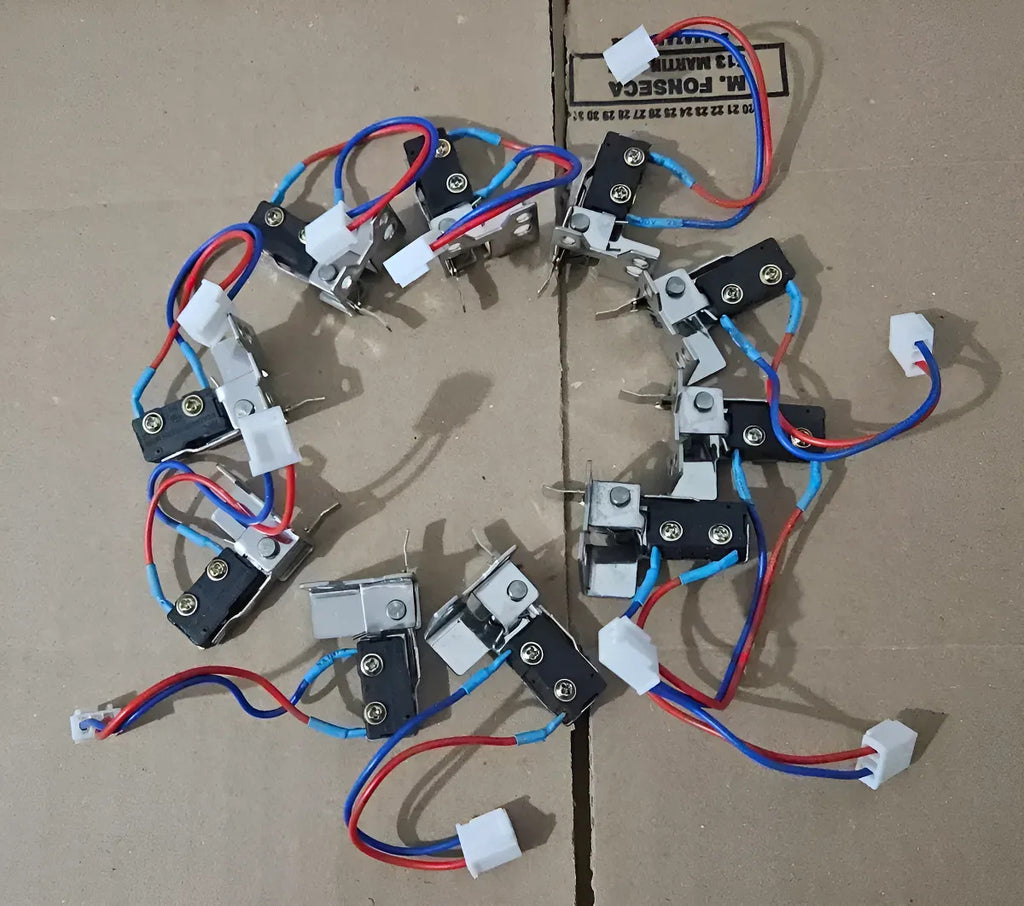 Microinterruptor Calefon 2 Cables Trotter Y Mademsa (10uds.)